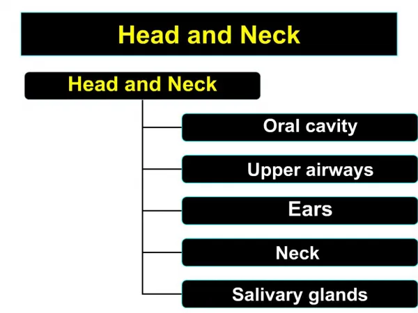 Head and Neck