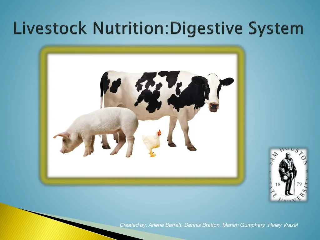 livestock nutrition digestive system