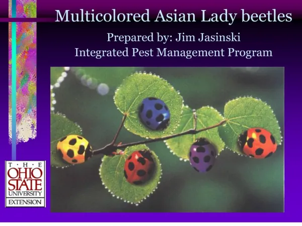 Multicolored Asian Lady beetles Prepared by: Jim Jasinski Integrated Pest Management Program