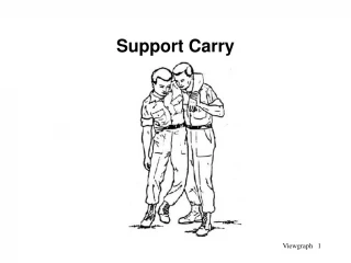Support Carry - slide 1