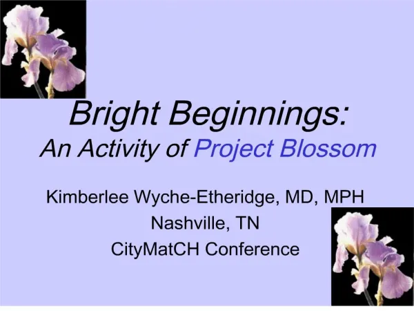Bright Beginnings: An Activity of Project Blossom