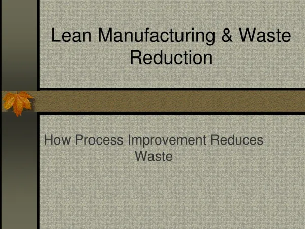 Lean Manufacturing &amp; Waste Reduction