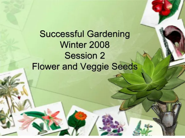 Successful Gardening Winter 2008 Session 2 Flower and Veggie Seeds