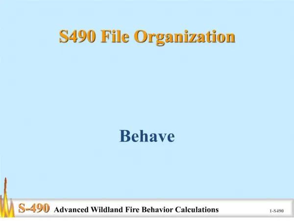 S490 File Organization