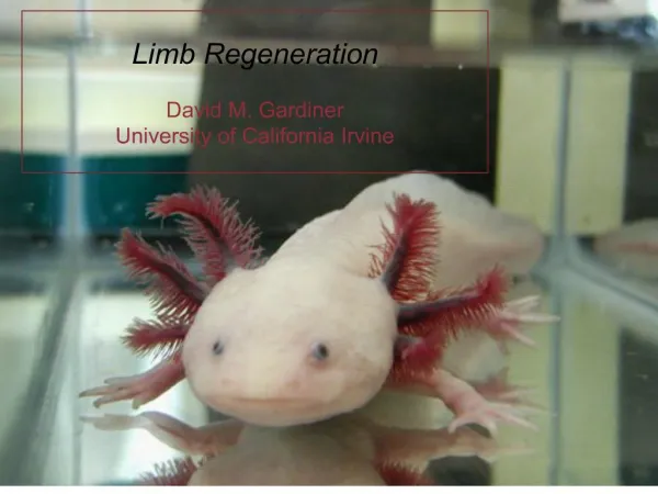 Limb Regeneration David M. Gardiner University of ...