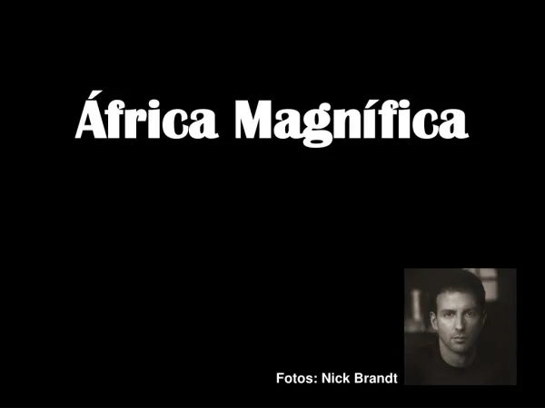 África Magnífica