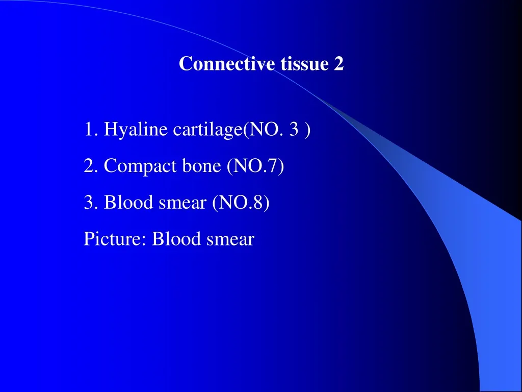 connective tissue 2