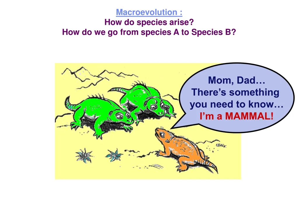 macroevolution how do species arise