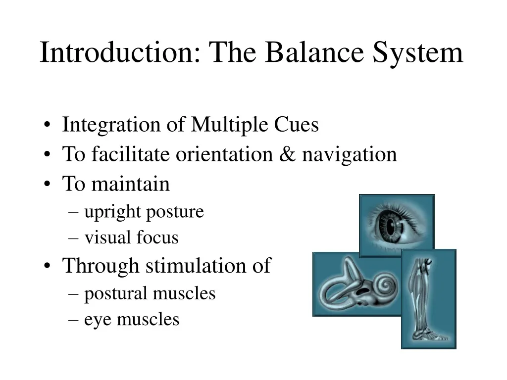 introduction the balance system