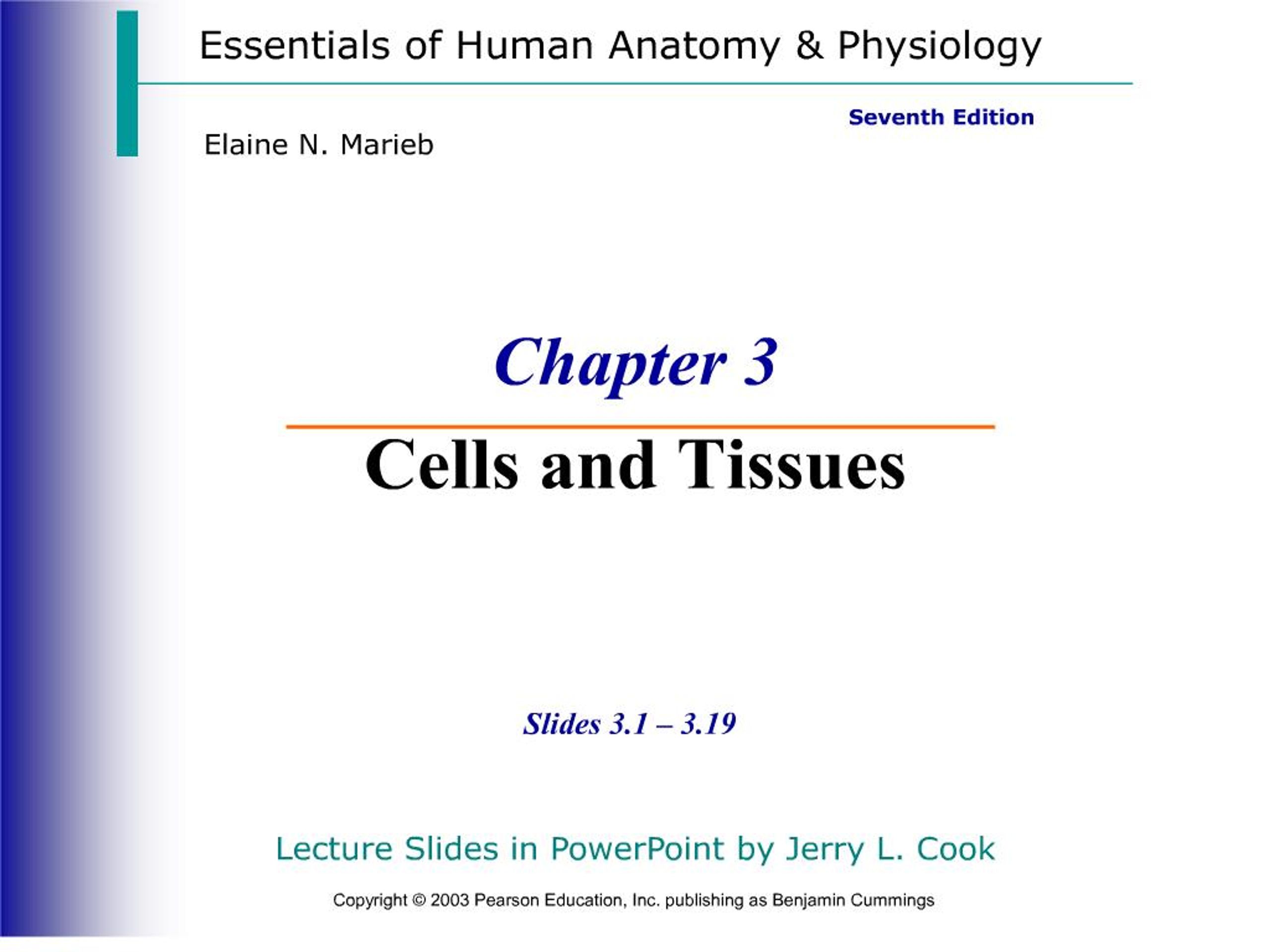 PPT - Chapter 3 Cells and Tissues PowerPoint Presentation, free ...