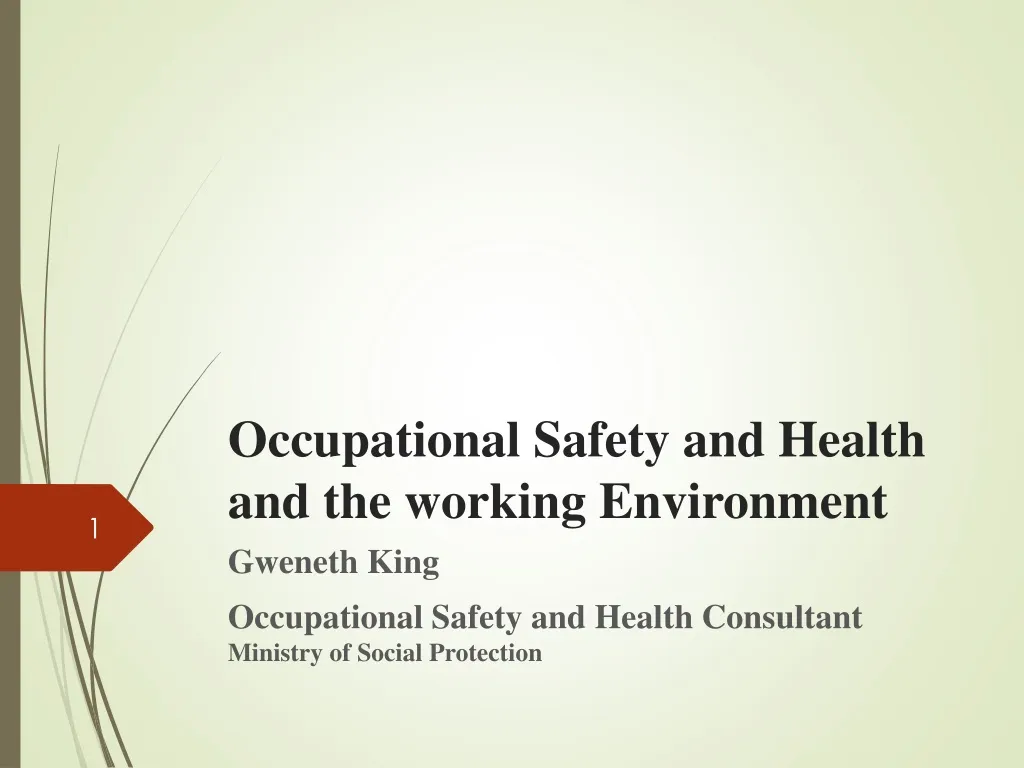 occupational safety and health and the working environment