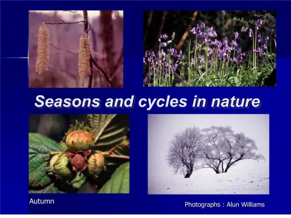 Seasons and cycles in nature