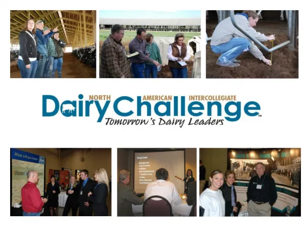 Dairy Challenge