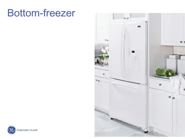 Bottom-freezer
