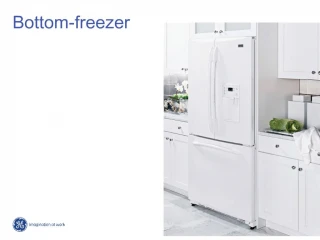 Bottom-freezer - slide 1