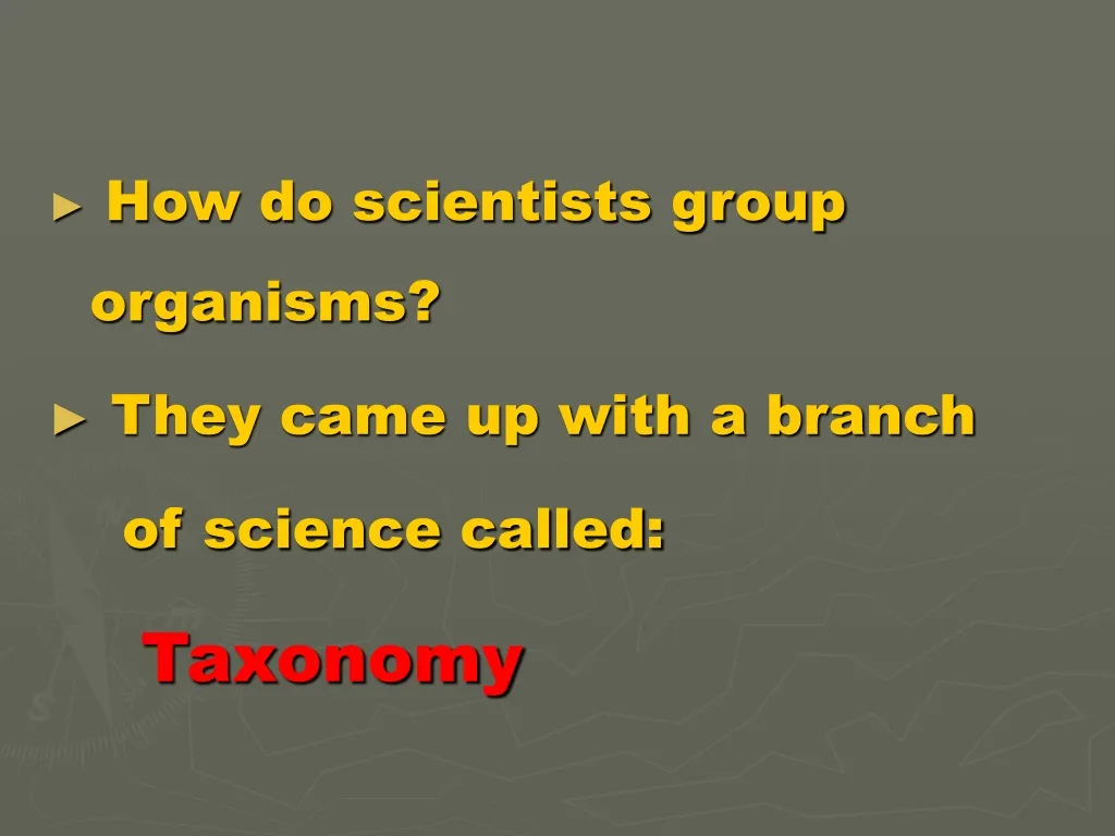 how do scientists group organisms