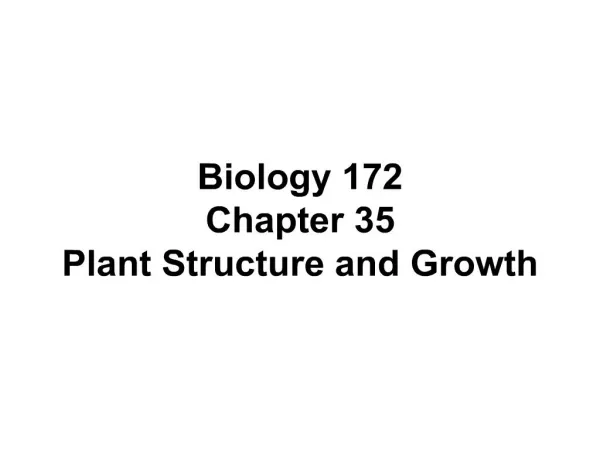 Biology 172 Chapter 35 Plant Structure and Growth