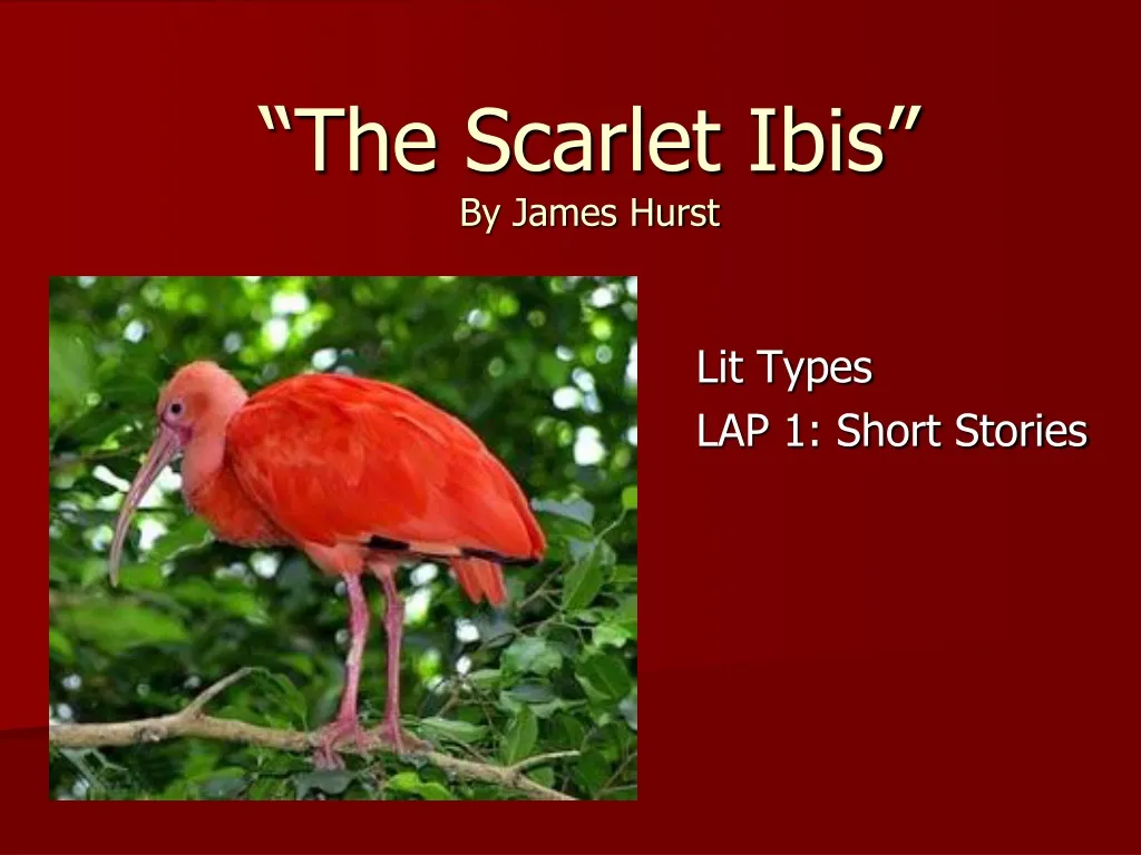 the scarlet ibis by james hurst