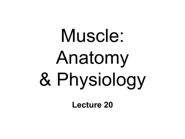 Muscle: Anatomy Physiology