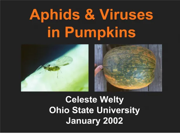 Aphids Viruses in Pumpkins