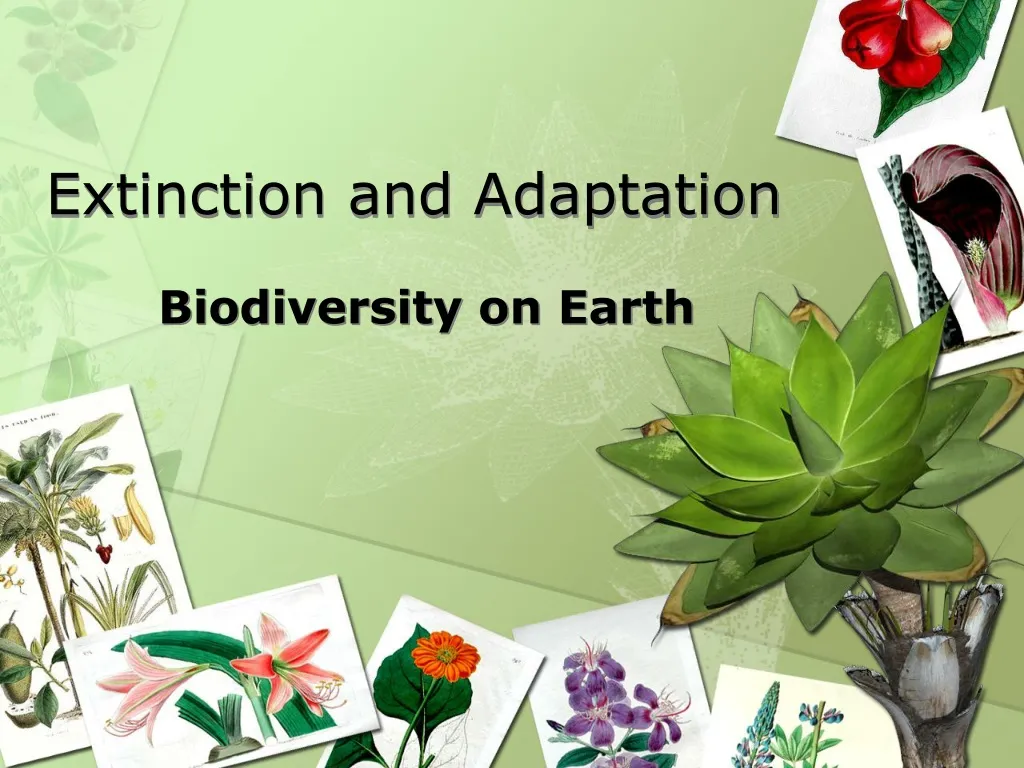 extinction and adaptation