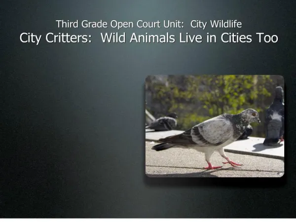 Third Grade Open Court Unit: City Wildlife City Critters ...