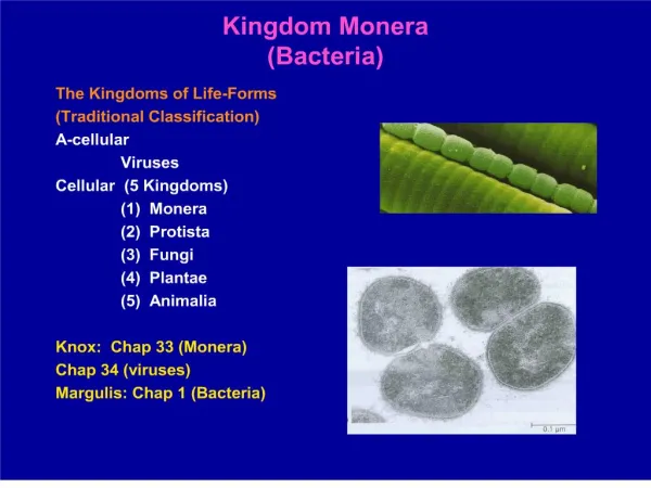 Kingdom Monera Bacteria