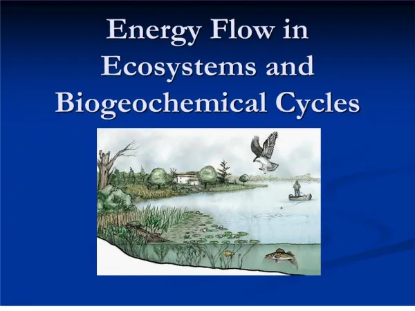 Energy Flow in Ecosystems and Biogeochemical Cycles