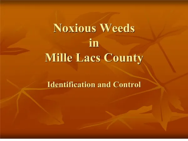 Noxious Weeds in Mille Lacs County Identification and Control
