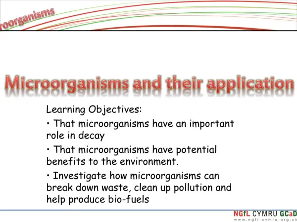 Learning Objectives: That microorganisms have an important role in decay