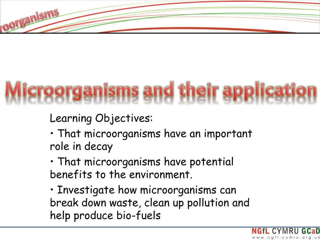 microorganisms and their application