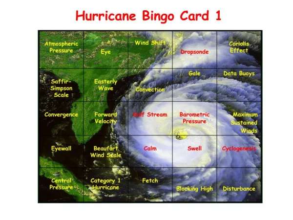 Hurricane Bingo Card 1