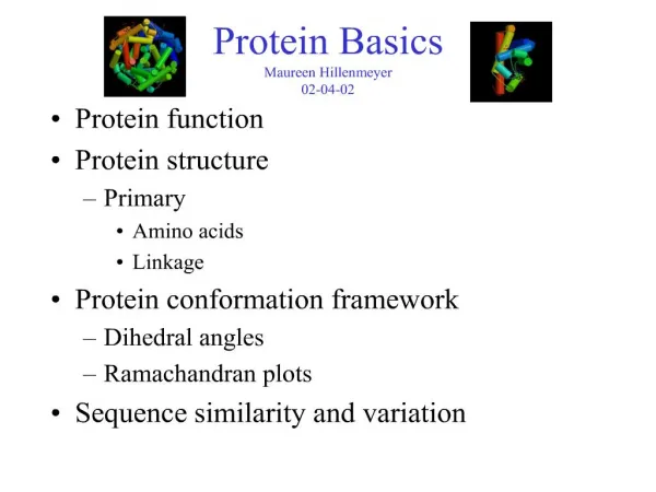Protein Basics Maureen Hillenmeyer 02-04-02