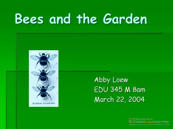 Bees in the Garden Powerpoint