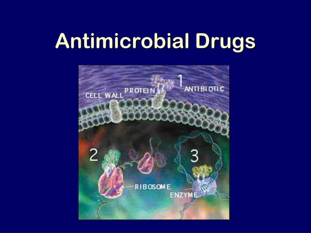 antimicrobial drugs