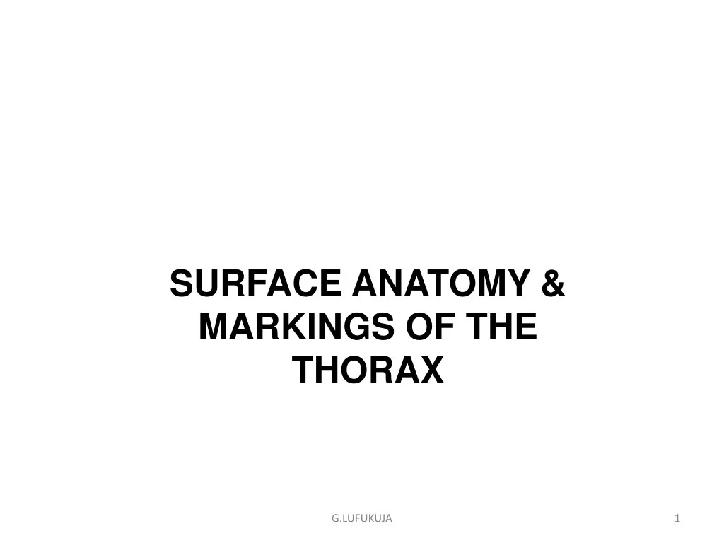 surface anatomy markings of the thorax