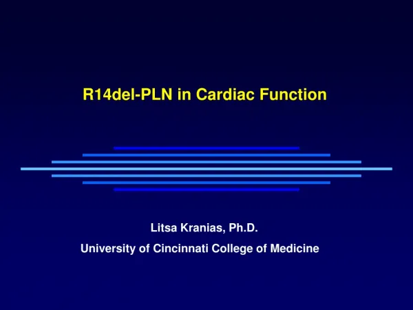 R14del-PLN in Cardiac Function