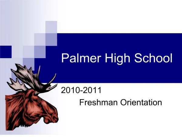 Palmer High School