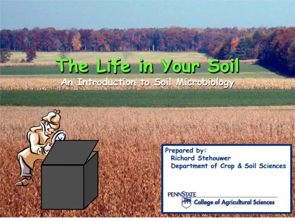 The Life in Your Soil An Introductio