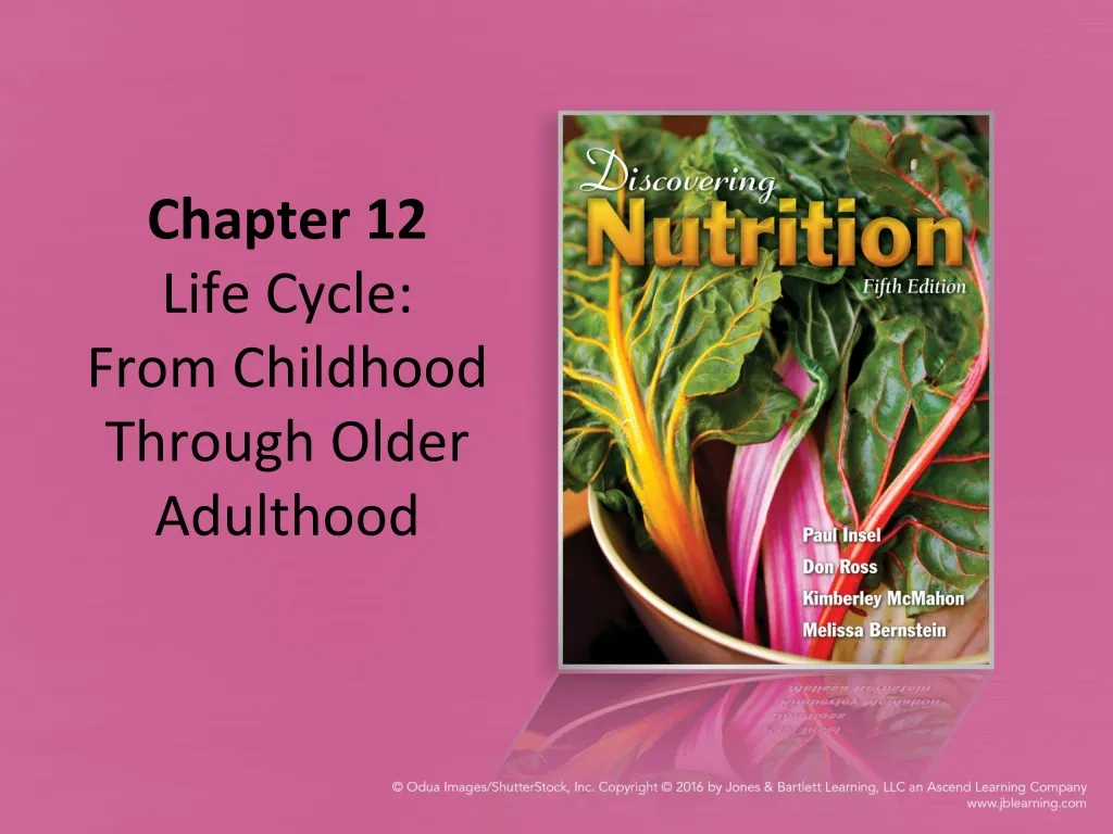 chapter 12 life cycle from childhood through older adulthood