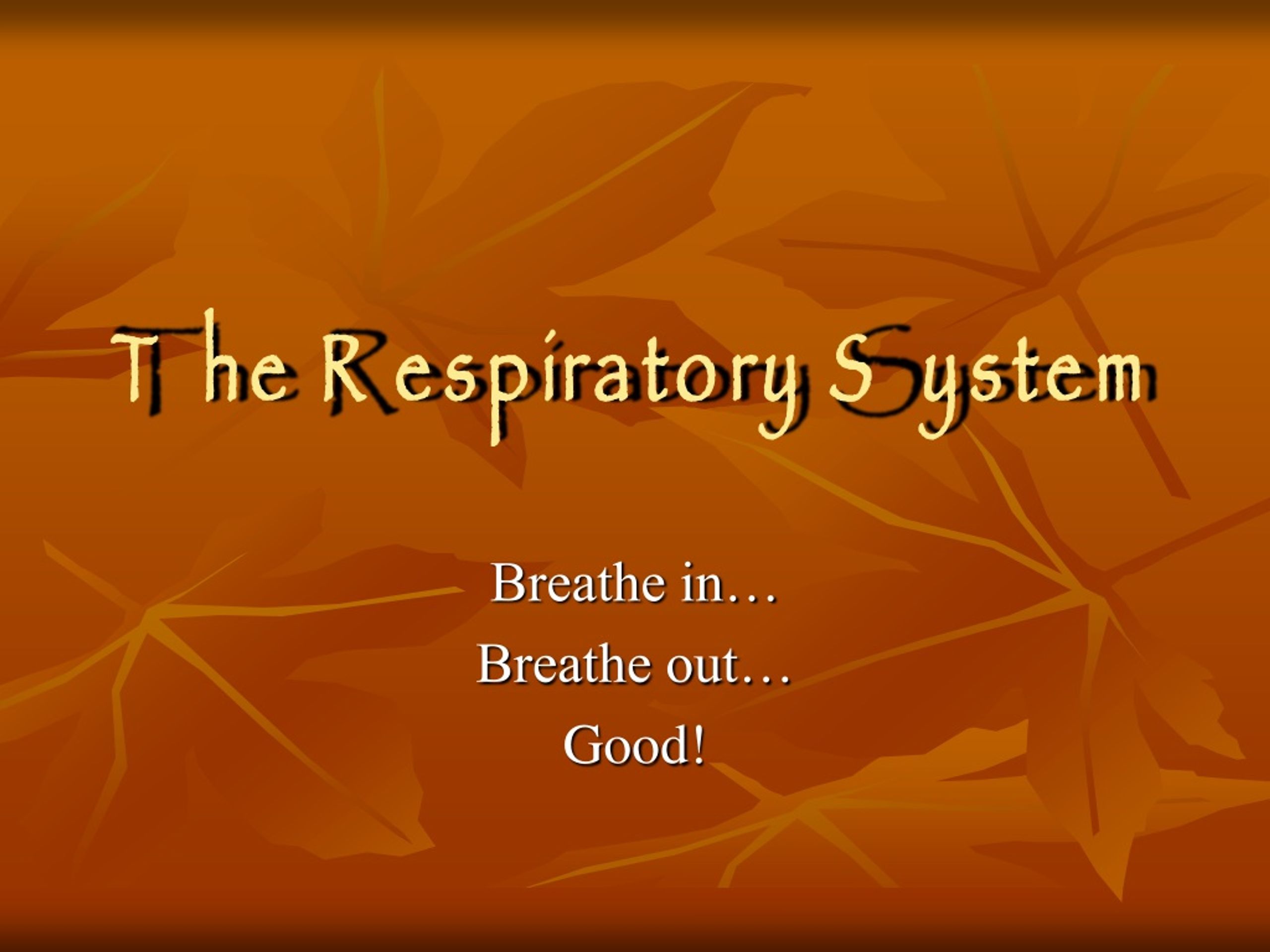 PPT - The Respiratory System PowerPoint Presentation, free download ...