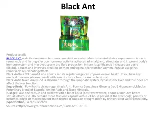 black ants - slide 1