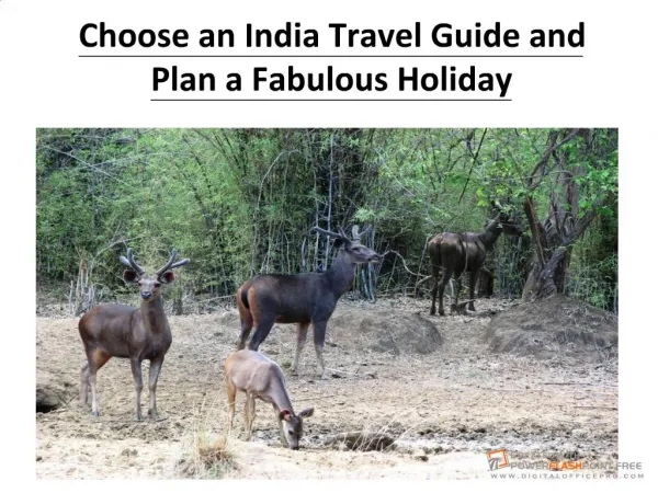 Choose an India Travel Guide and Plan a Fabulous Holiday
