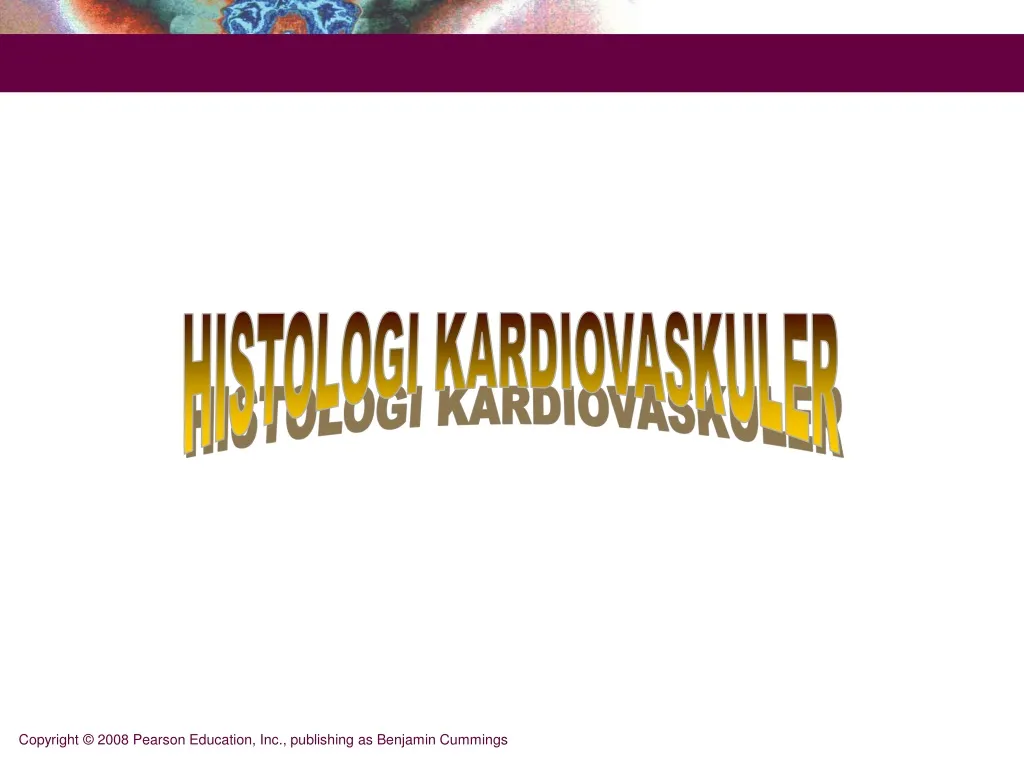 histologi kardiovaskuler