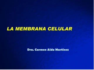 Membranas - slide 1