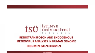 RETROTRANSPOSON AND ENDOGENOUS RETROVIRUS ANALYSES IN HUMAN GENOME - slide 1
