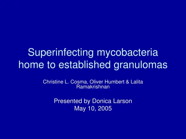 Superinfecting mycobacteria home to established granulomas