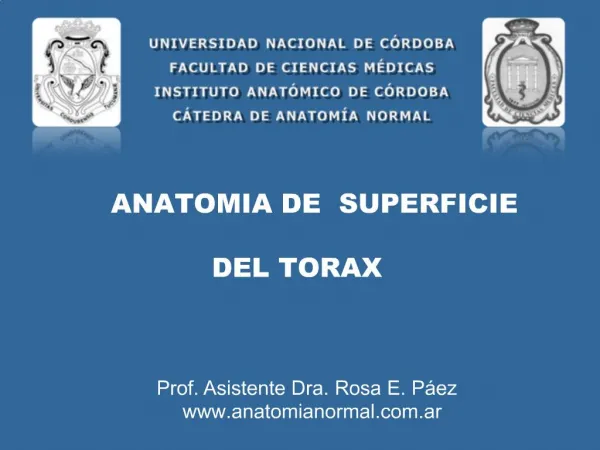 ANATOMIA DE SUPERFICIE DEL TORAX