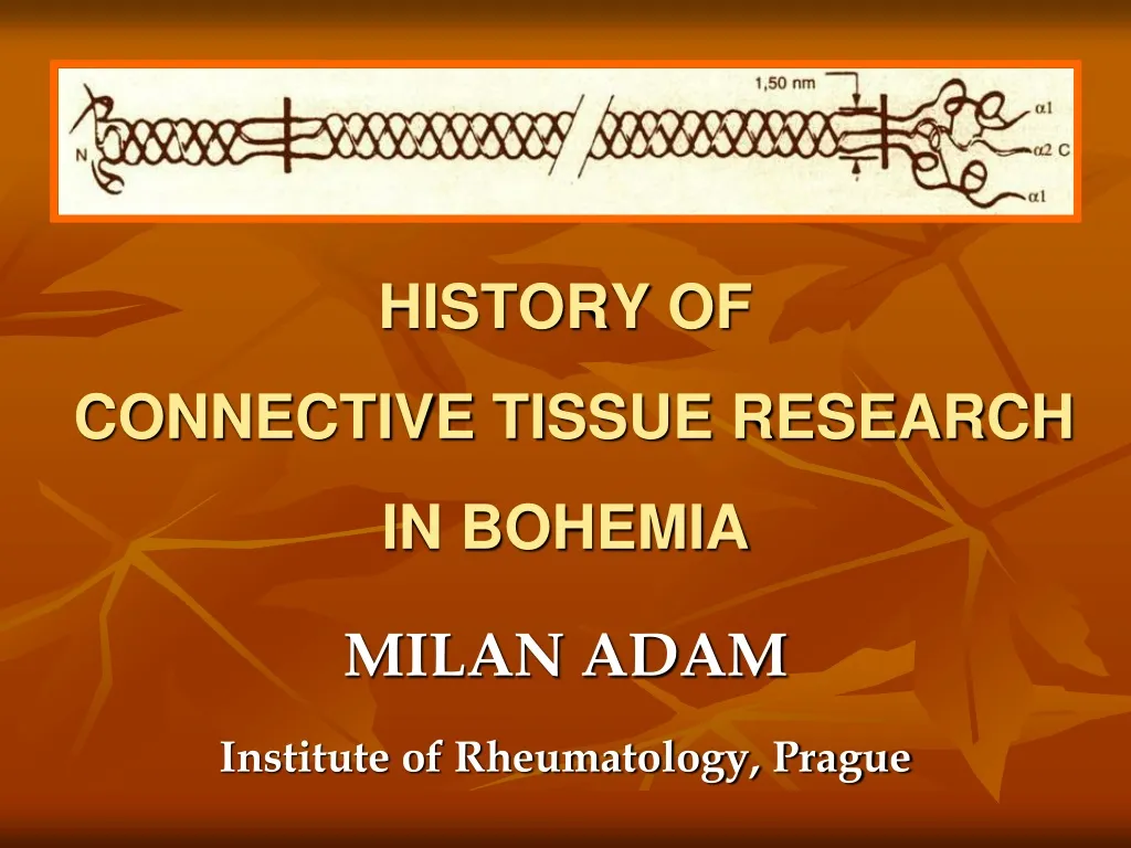 history of connective tissue research in bohemia