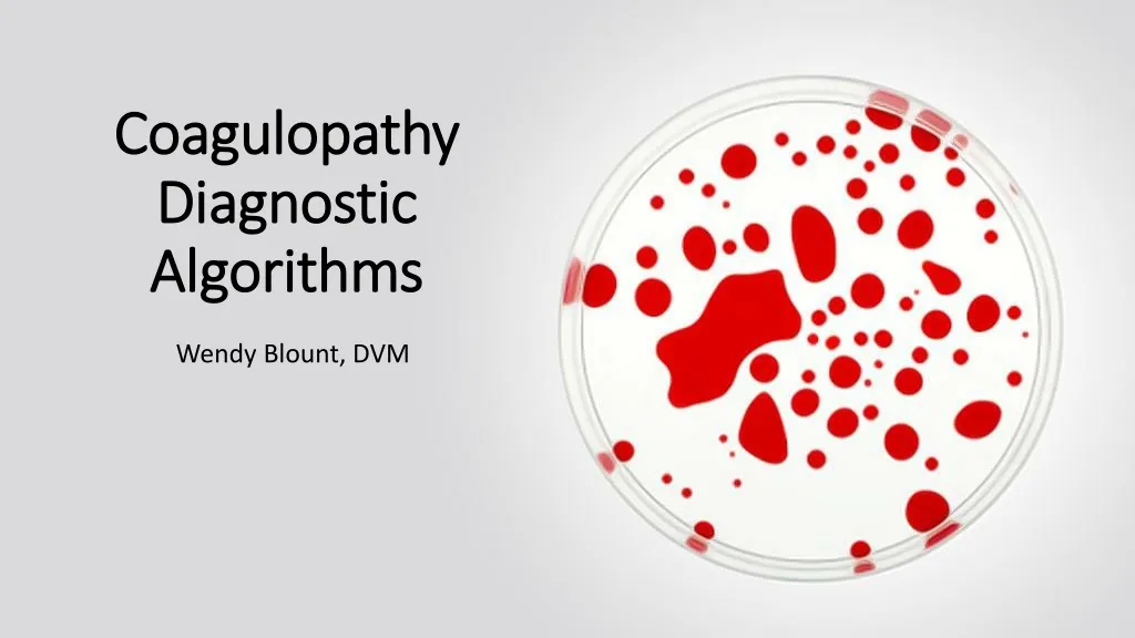 coagulopathy diagnostic algorithms